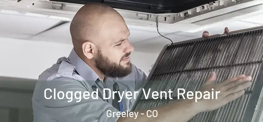 Clogged Dryer Vent Repair Greeley - CO