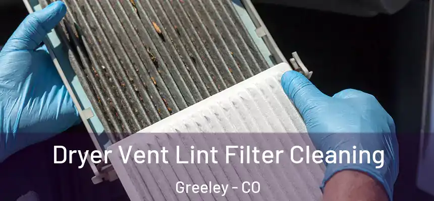 Dryer Vent Lint Filter Cleaning Greeley - CO