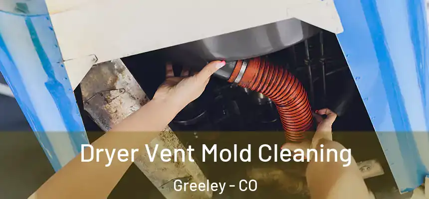 Dryer Vent Mold Cleaning Greeley - CO