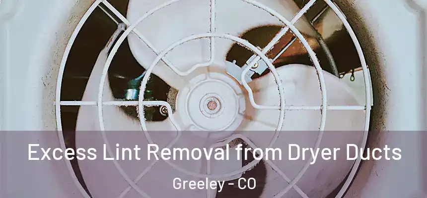  Excess Lint Removal from Dryer Ducts Greeley - CO
