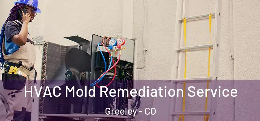 HVAC Mold Remediation Service Greeley - CO
