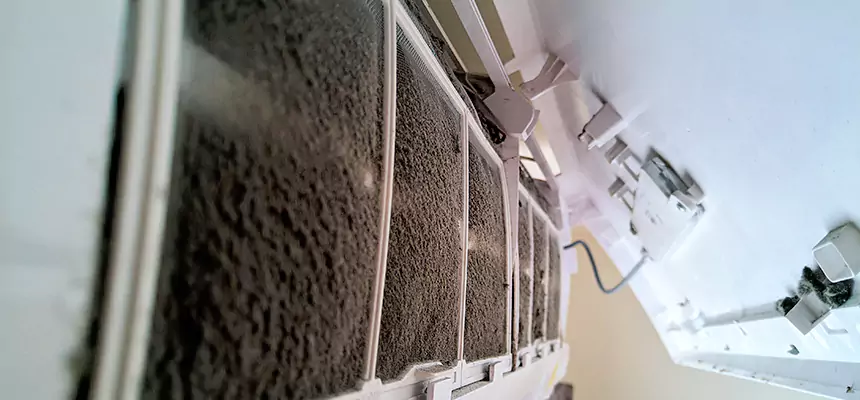 Preventive Air Duct Bacteria Removal in Greeley