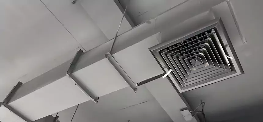 Our Rodent Droppings In Vents Services in Greeley, CO