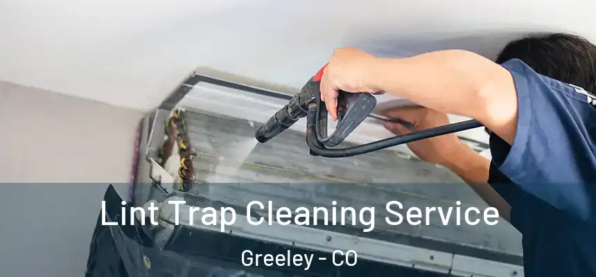 Lint Trap Cleaning Service Greeley - CO