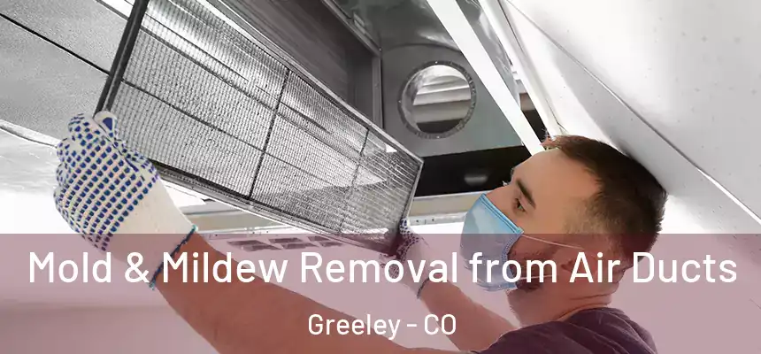 Mold & Mildew Removal from Air Ducts Greeley - CO