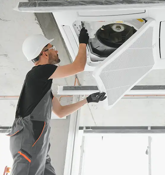 About Air Duct Rodent Removal in Greeley, CO