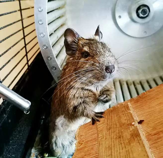 Why Homeowners & Businesses Trust Us Greeley, CO?