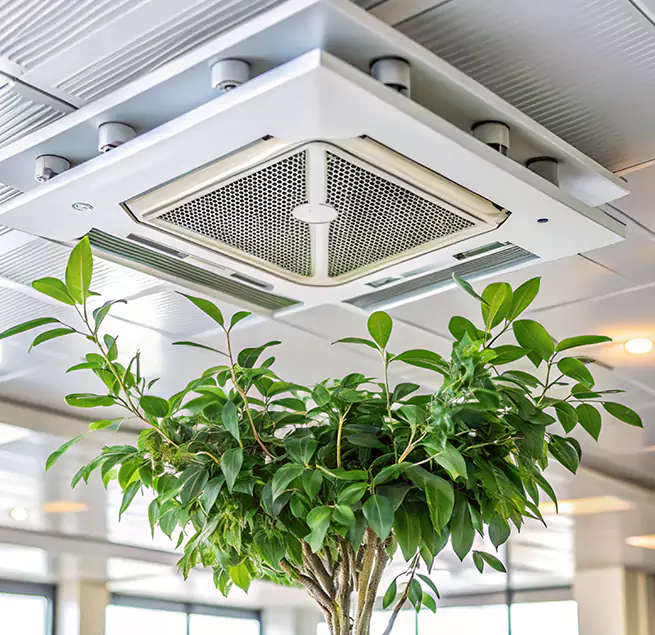 Why Homeowners & Businesses Trust Us in Greeley, CO?