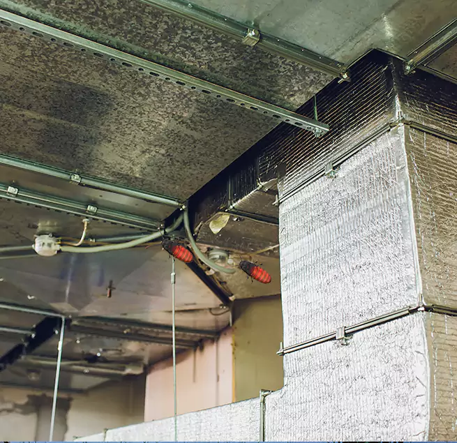 Why Homeowners & Businesses Trust Us Greeley, CO?